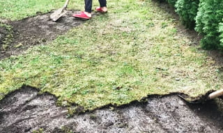 Снятие дерна старого газона в Мытищах – от 512 руб. | ИП Садыков В. Р.